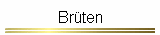 Brten