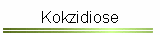 Kokzidiose