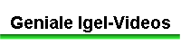 Geniale Igel-Videos