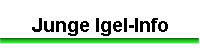 Junge Igel-Info