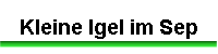 Kleine Igel im Sep